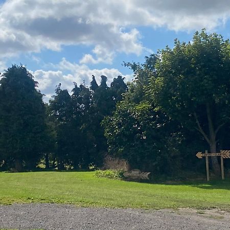 Roe Deer Meadow At Carr House Farm Hotel Scarborough Buitenkant foto