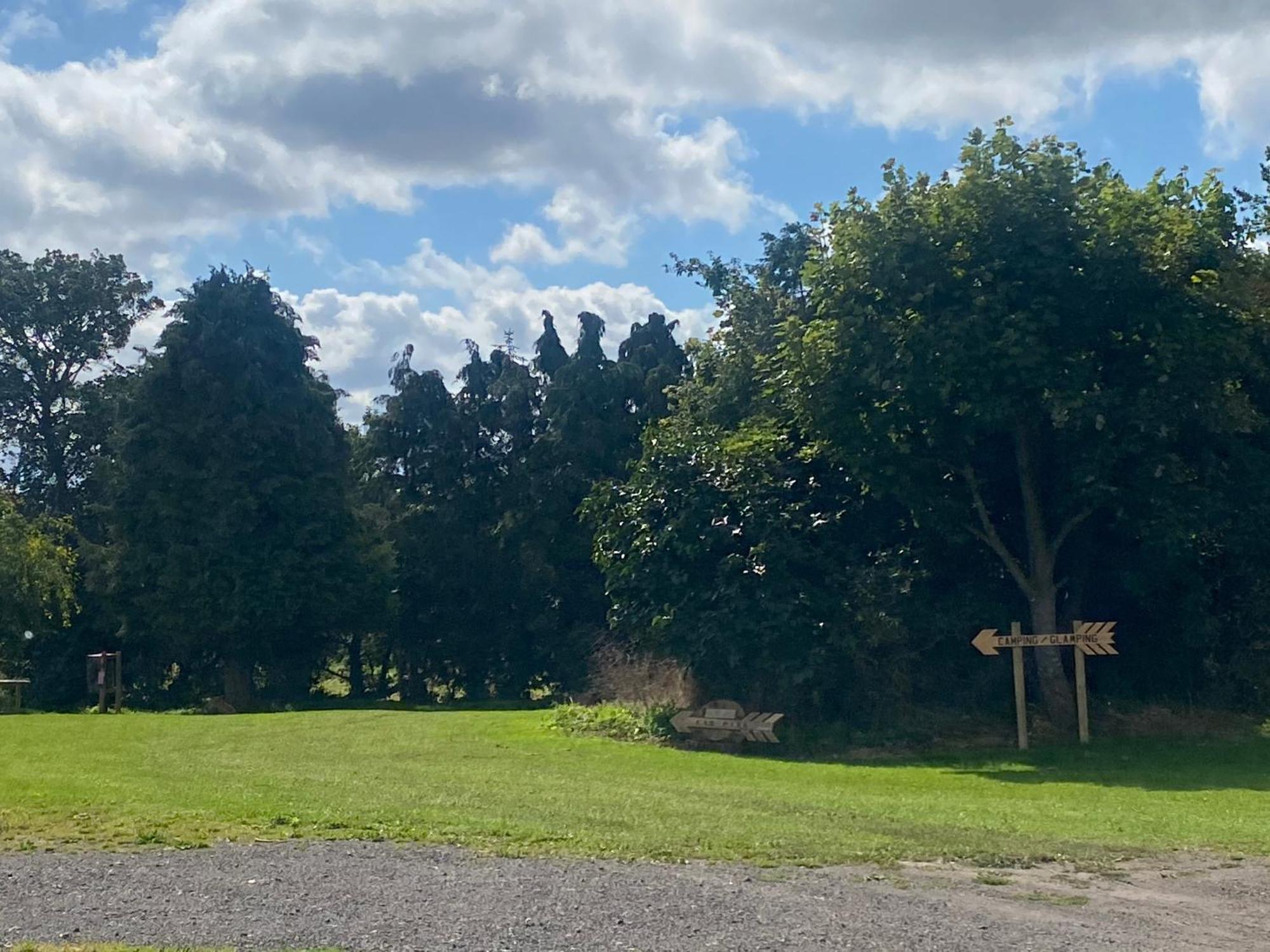 Roe Deer Meadow At Carr House Farm Hotel Scarborough Buitenkant foto