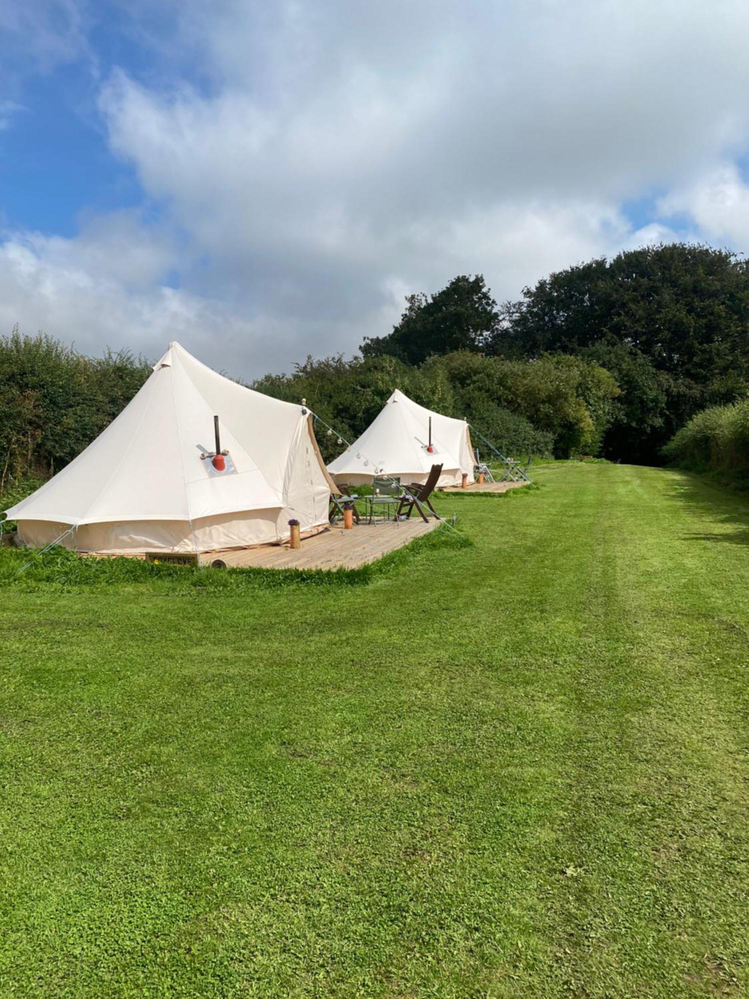 Roe Deer Meadow At Carr House Farm Hotel Scarborough Buitenkant foto